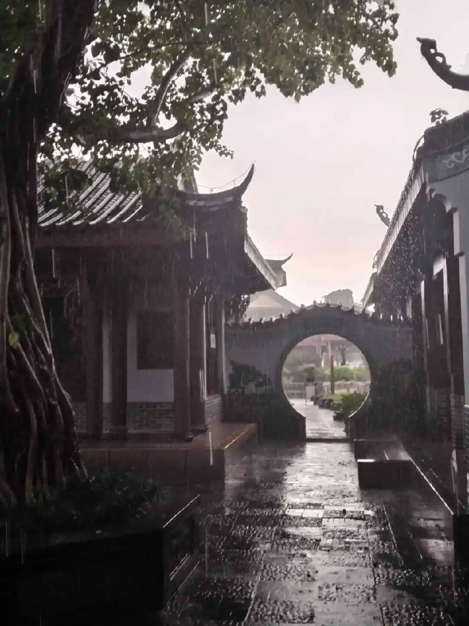 石雅芬摄影作品