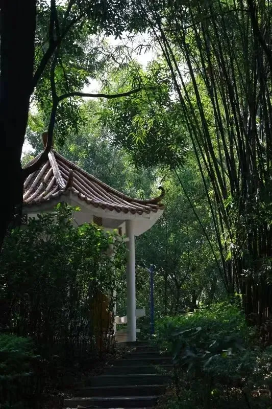 学生拍摄的校园幸福瞬间作品