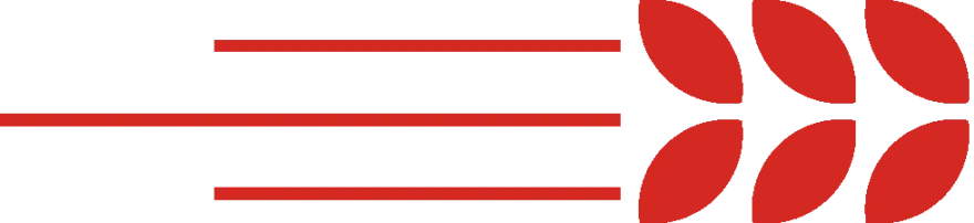 新入职教师风采展示