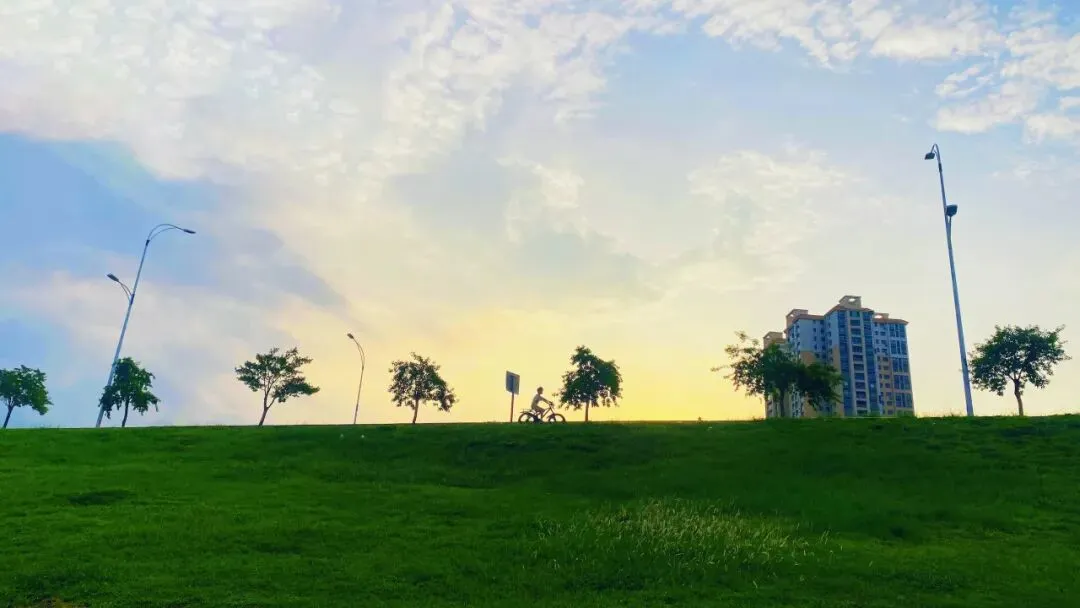 高一6班董志恒的摄影作品