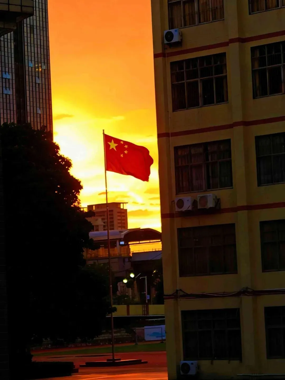 高二14班王诗予的摄影作品