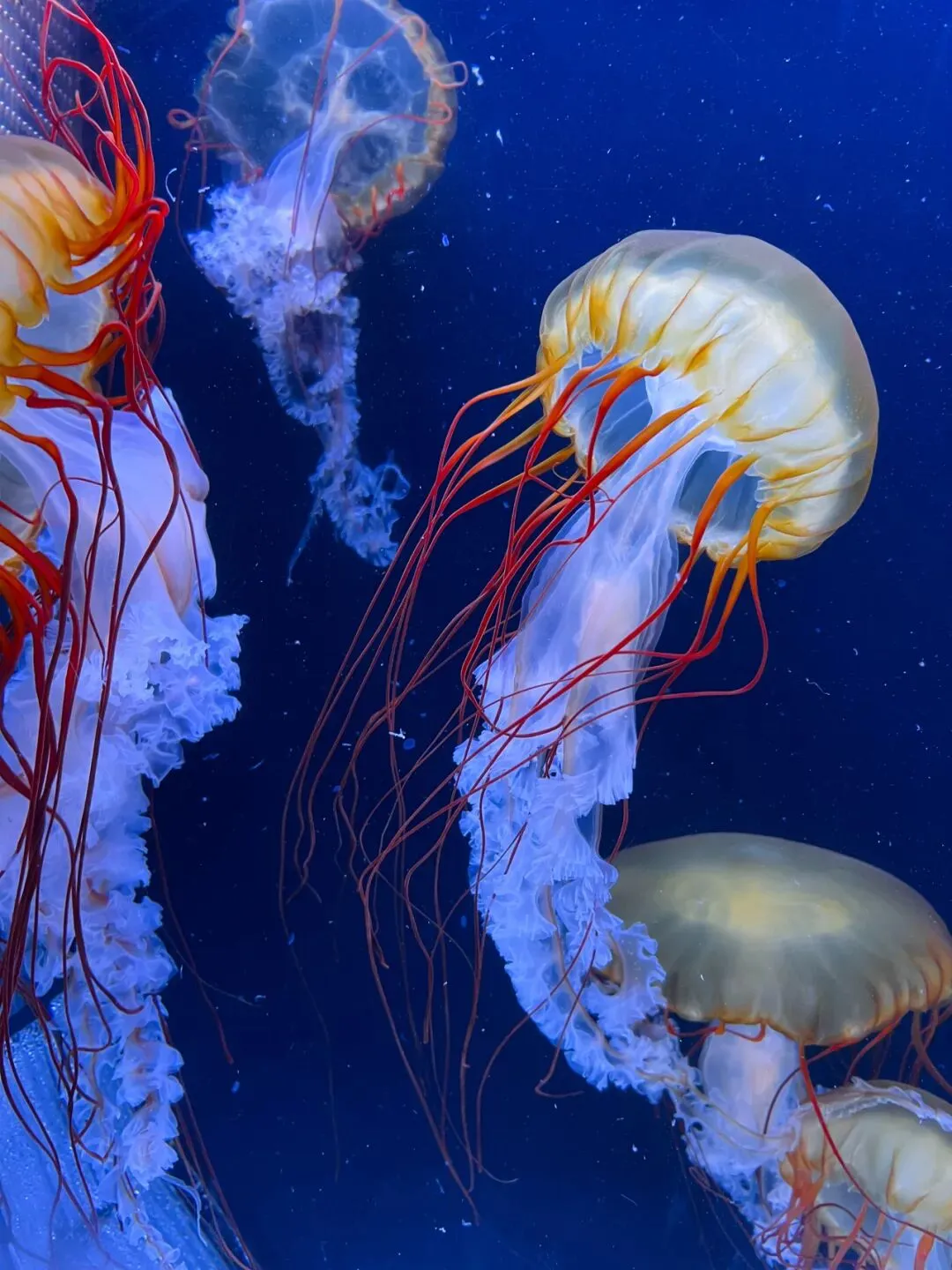 高二14班薛宇林的摄影作品