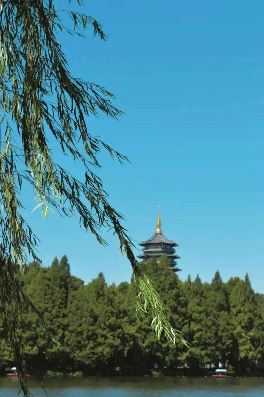 高二10班何可欣的摄影作品