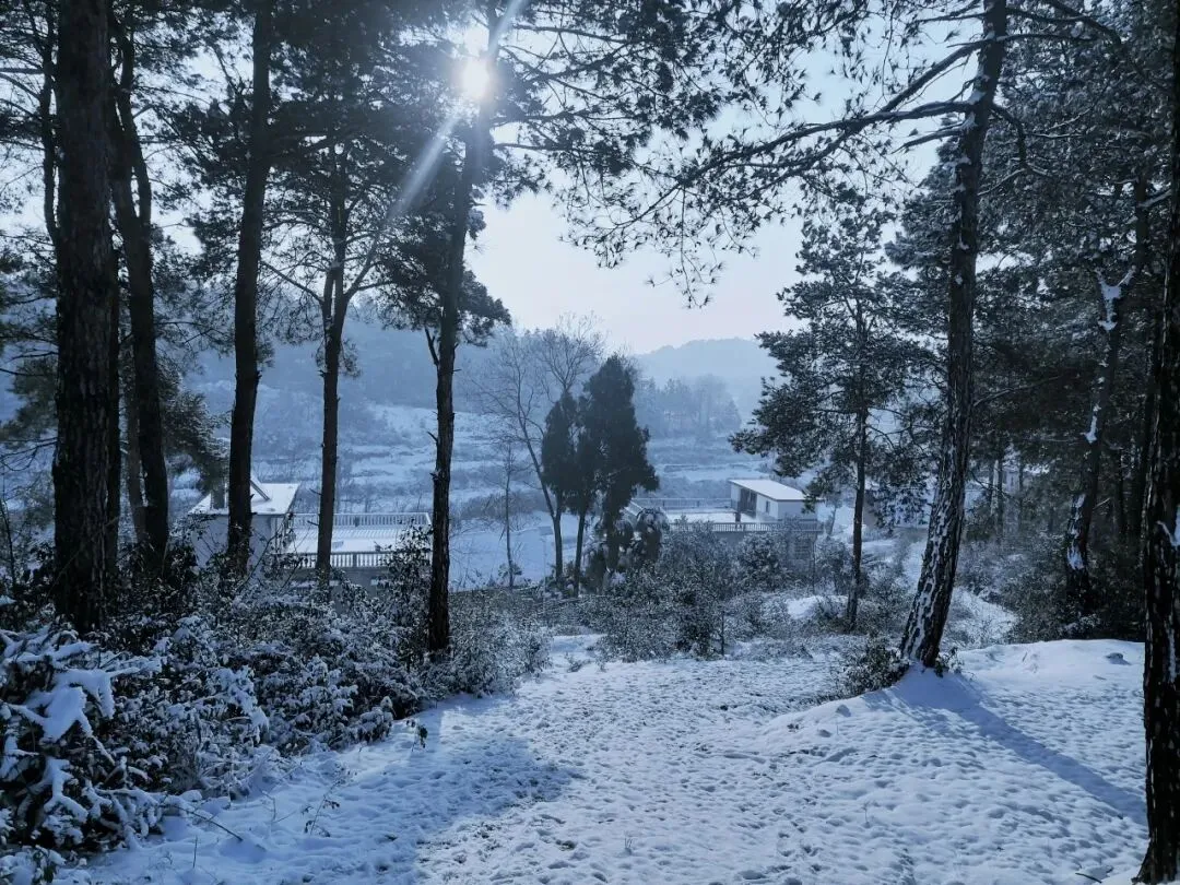 高一25班陈楠欢的摄影作品