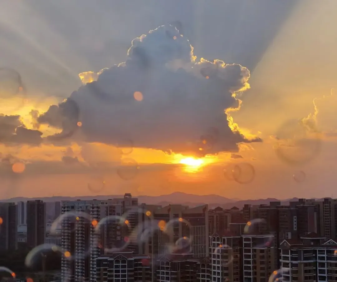 高一14班黄梓玚的另一幅摄影作品