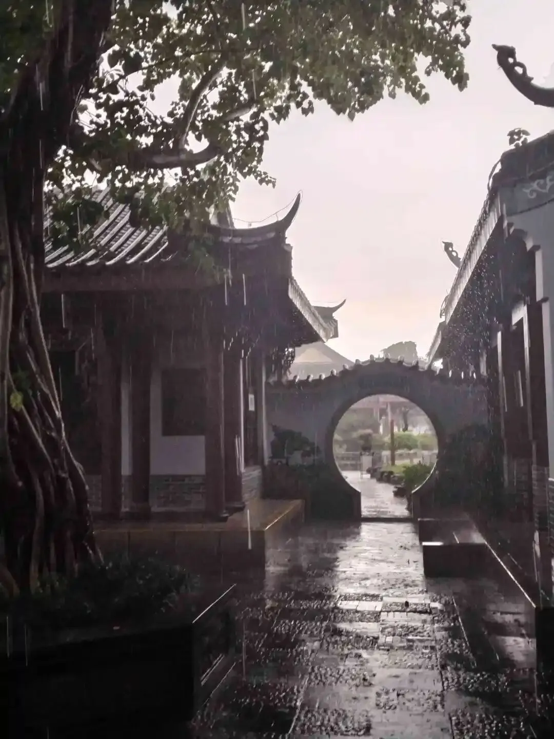 高二16班曾允律的摄影作品