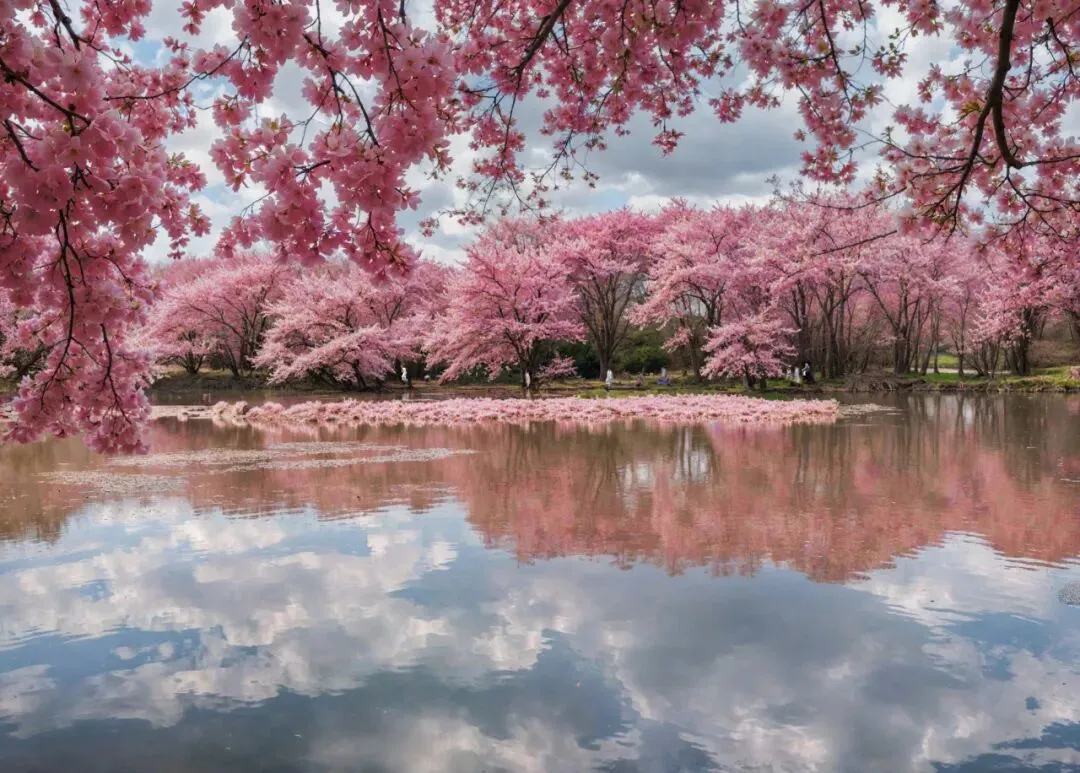 高一32班赵若涵的创意绘画作品