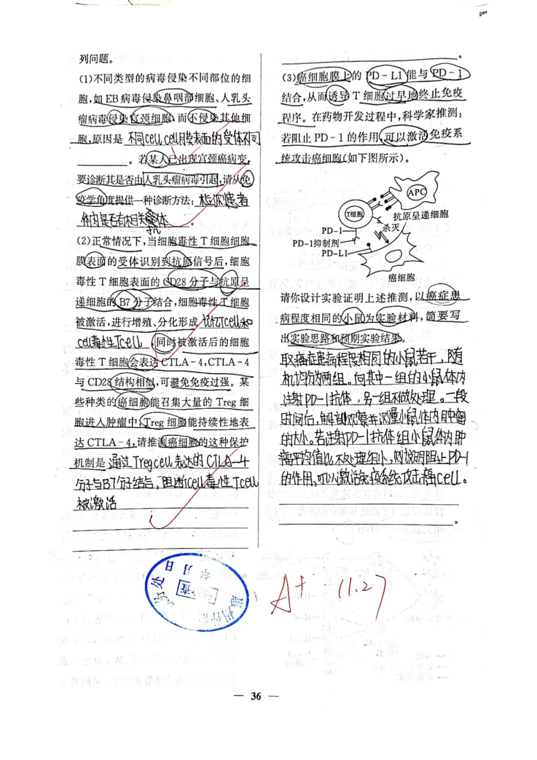 优秀学生作业示例8