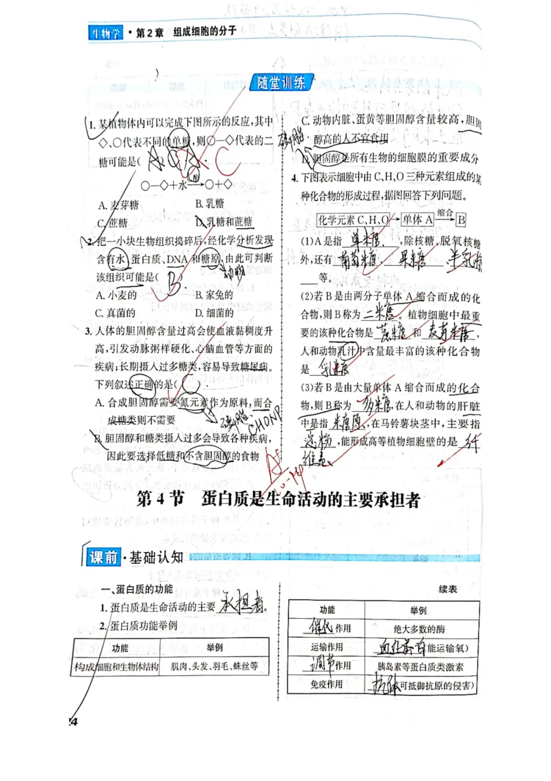 优秀学生作业示例7