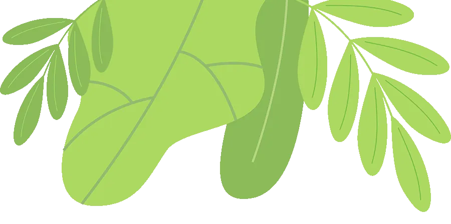 新生报到号及注册组别查询二维码