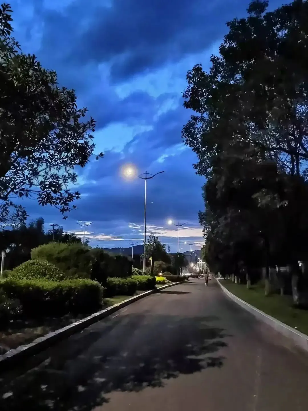 高二(8)班吴李泽摄影作品