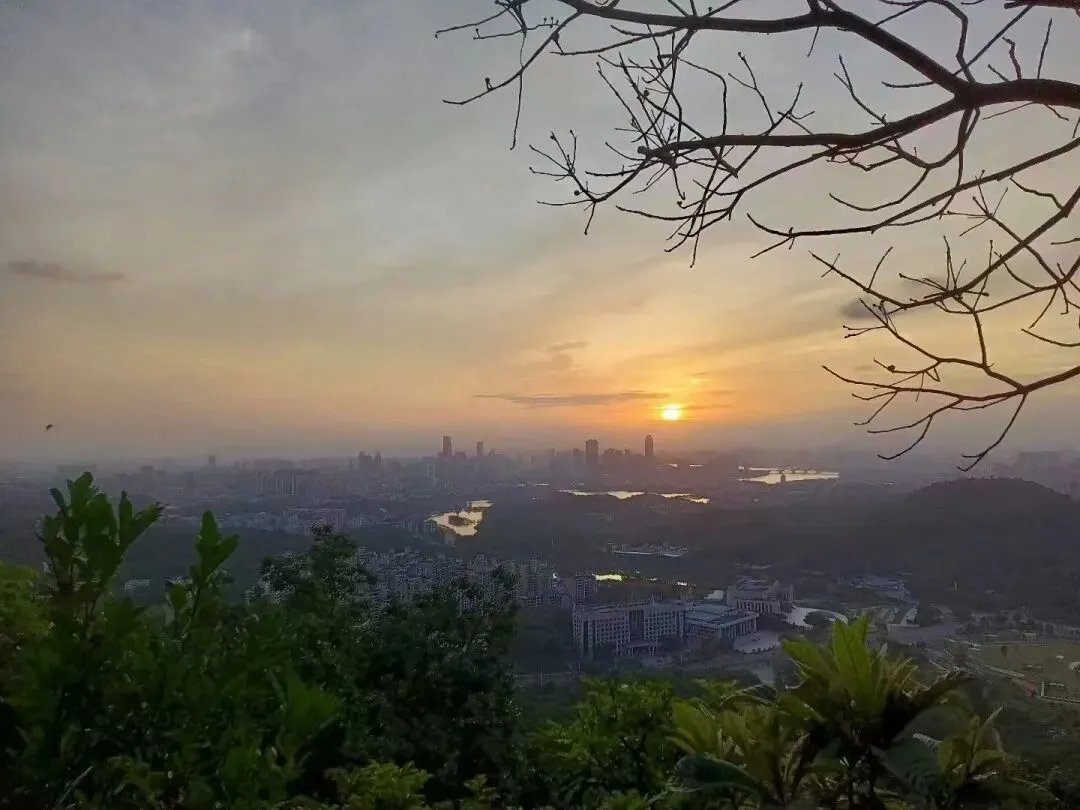 高二(21)班李深莹摄影作品