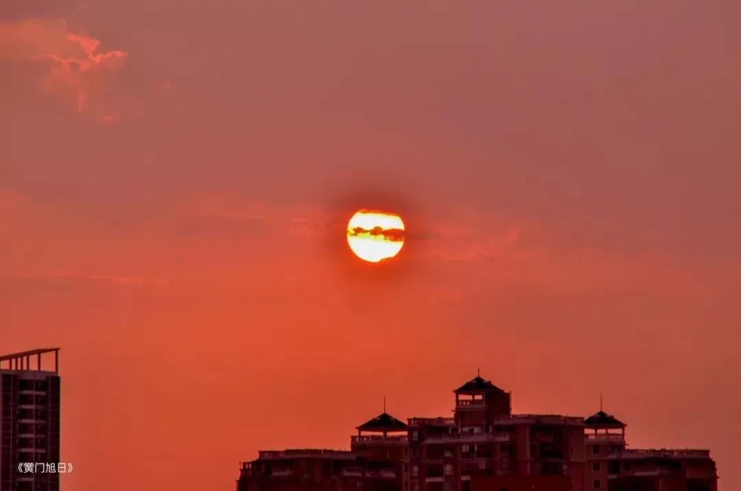 高二(21)班陈沛摄影作品