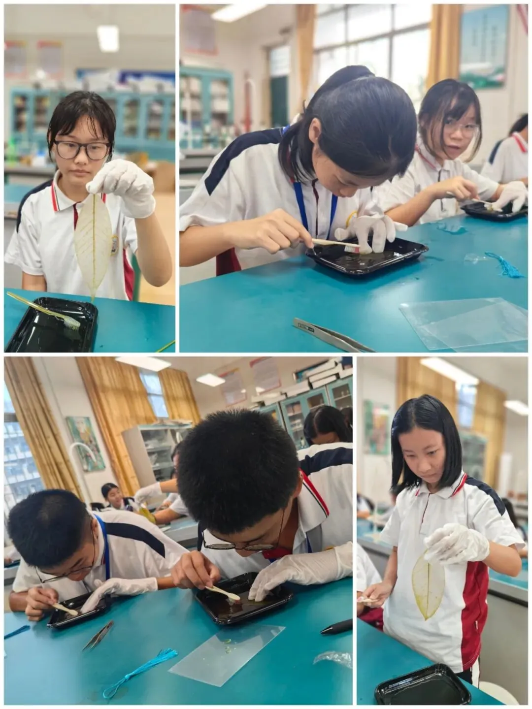 学生们动手制作叶脉书签