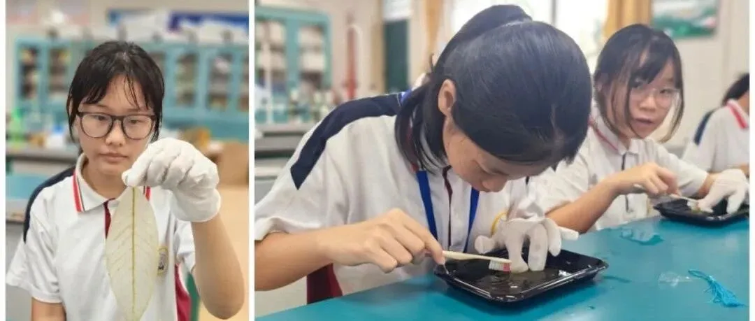 惠州仲恺中学：以理为翼，多元课程点亮学生成长之路