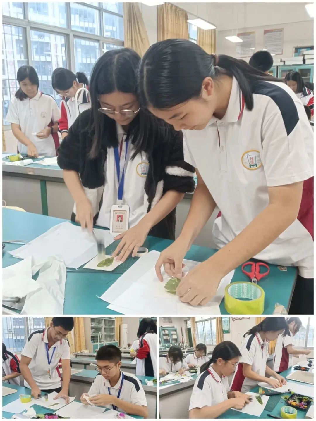 学生们在进行植物细胞质壁分离实验