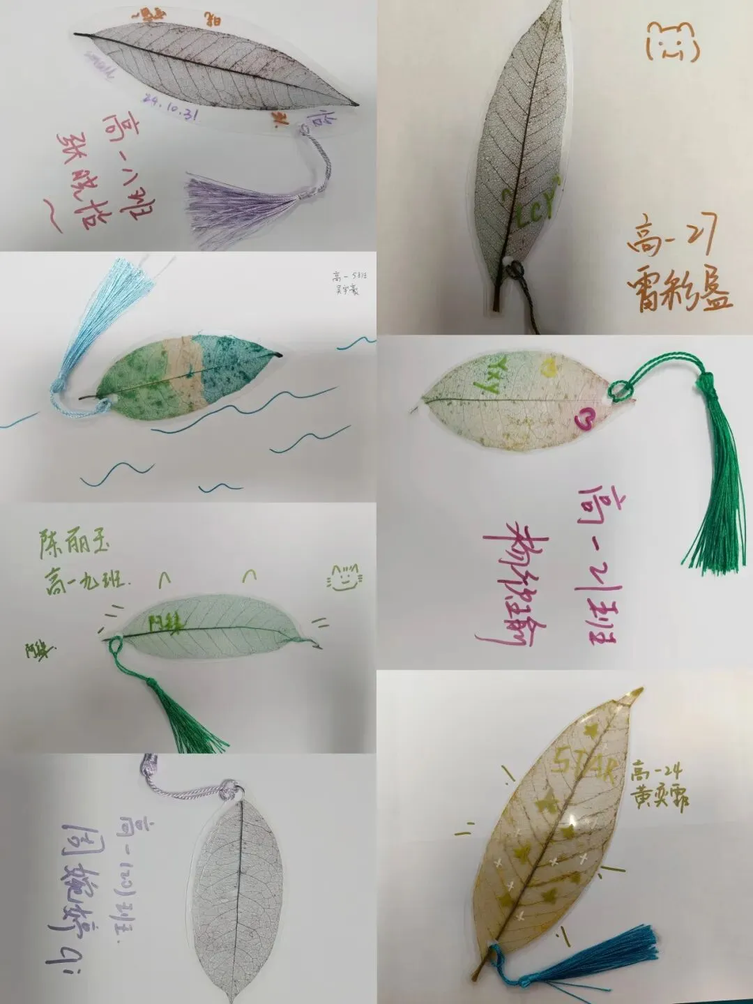 学生们进行植物拓染艺术创作