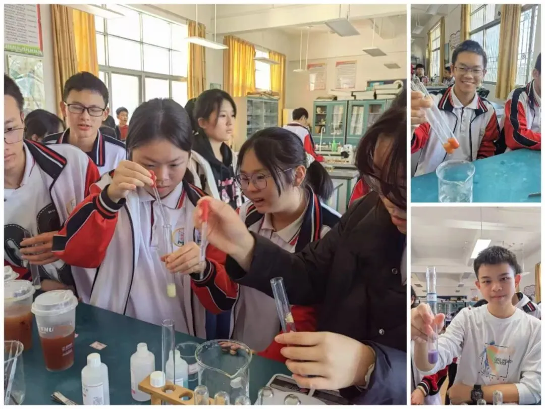 学生们检测生物组织中的糖类、脂肪和蛋白质