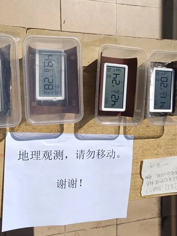 学生们观察记录校园内的植被生长情况