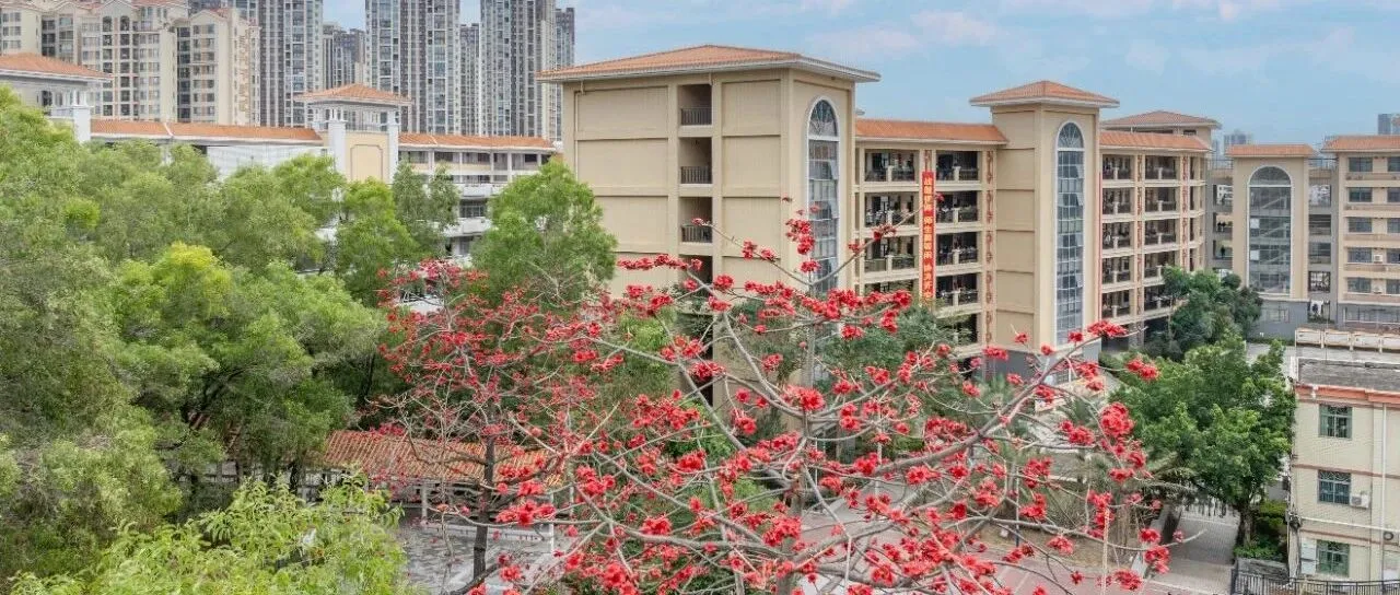 惠州仲恺中学2025年足球专项生招生术科考试成绩查询通知