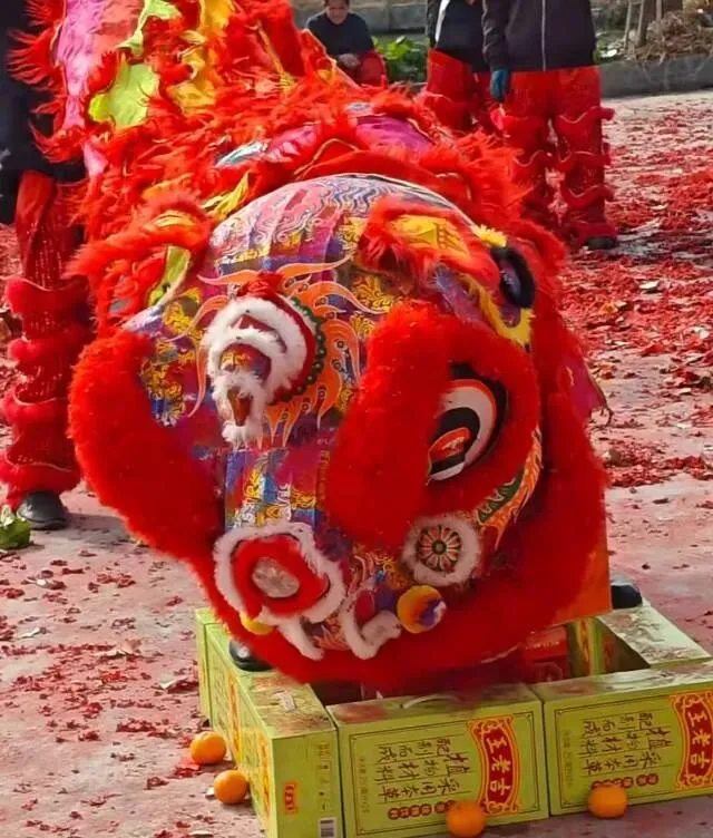 学生记录春节期间的家庭生活