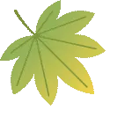 军训学员进行队列动作练习