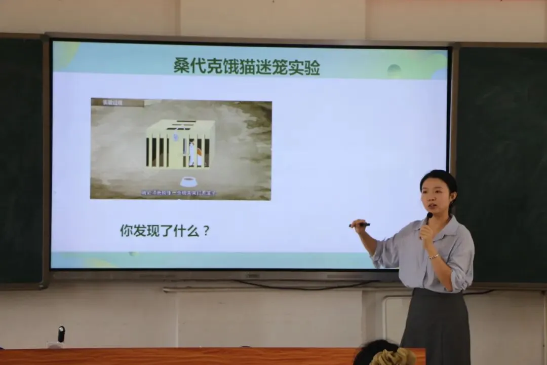 高中组课堂教学场景