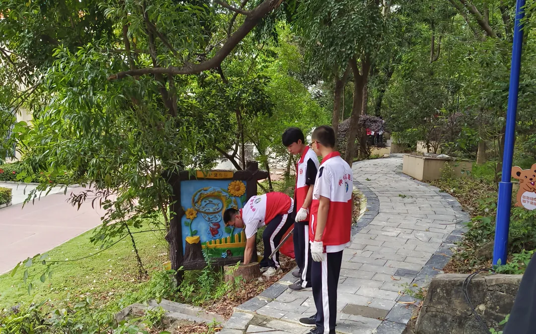 学生志愿者认真清理校园灌木丛中的垃圾