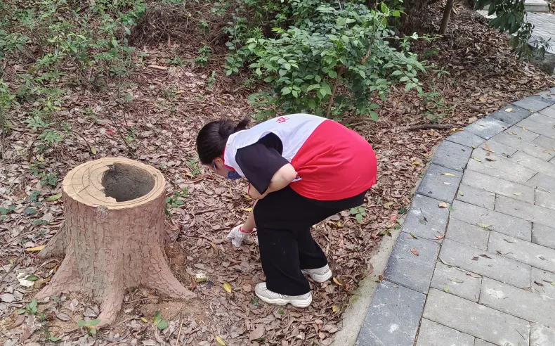 学生志愿者将收集的垃圾投放到垃圾桶