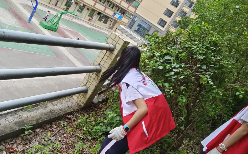 学生志愿者们合影留念，展现劳动成果