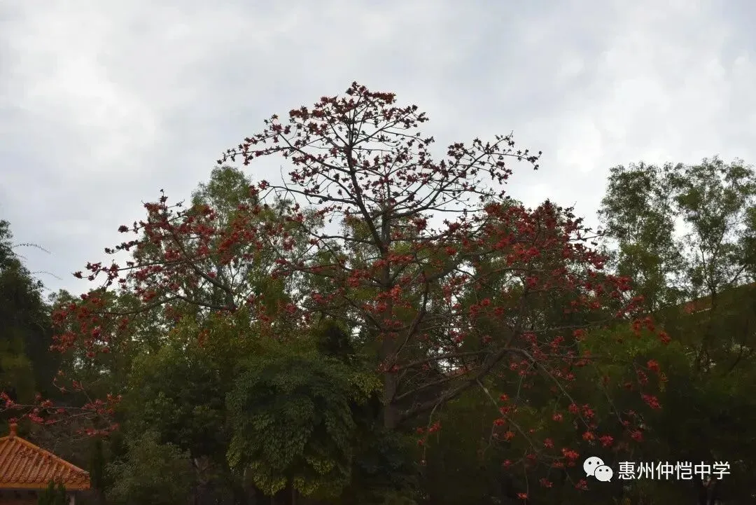 仲恺中学室内体育馆