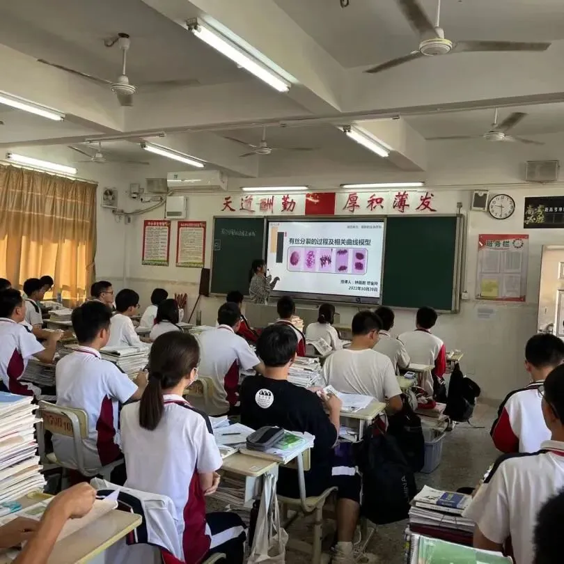 缪金玲老师讲解有丝分裂过程