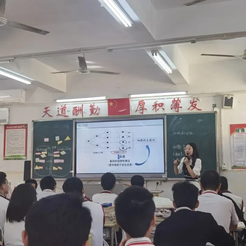 学生积极参与课堂互动,回答问题