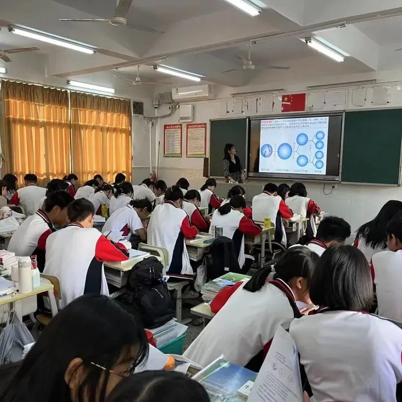 林佩君老师引导学生分析染色体数量变化曲线