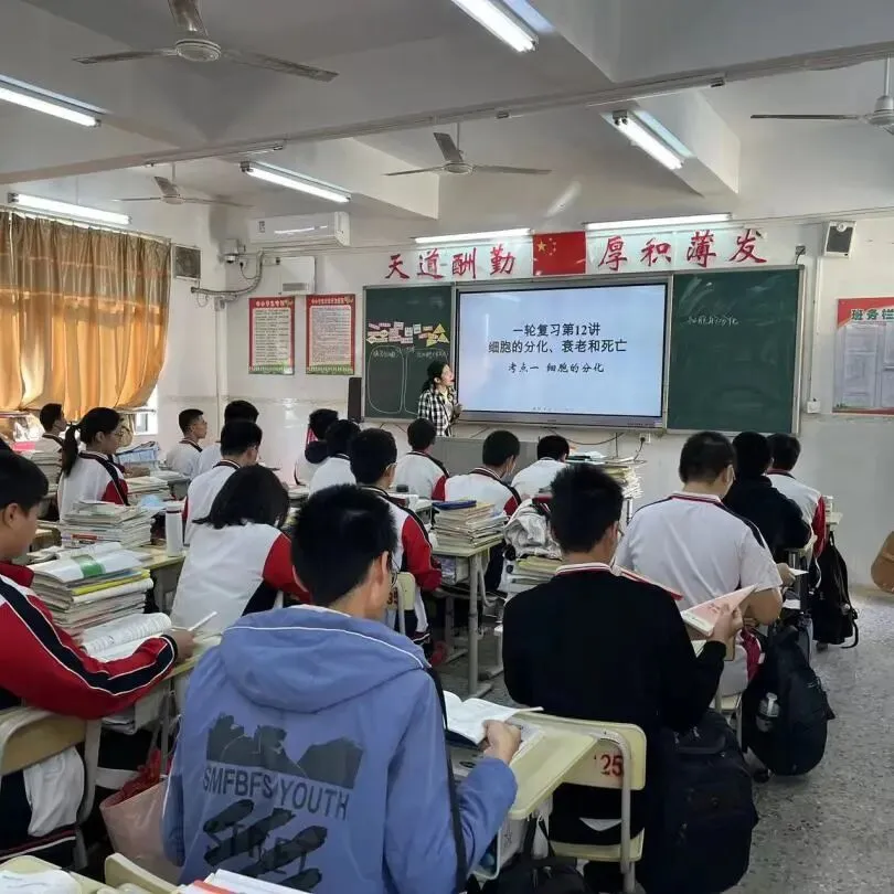 黄玉滢、刘教明老师展示丰富的图文资料