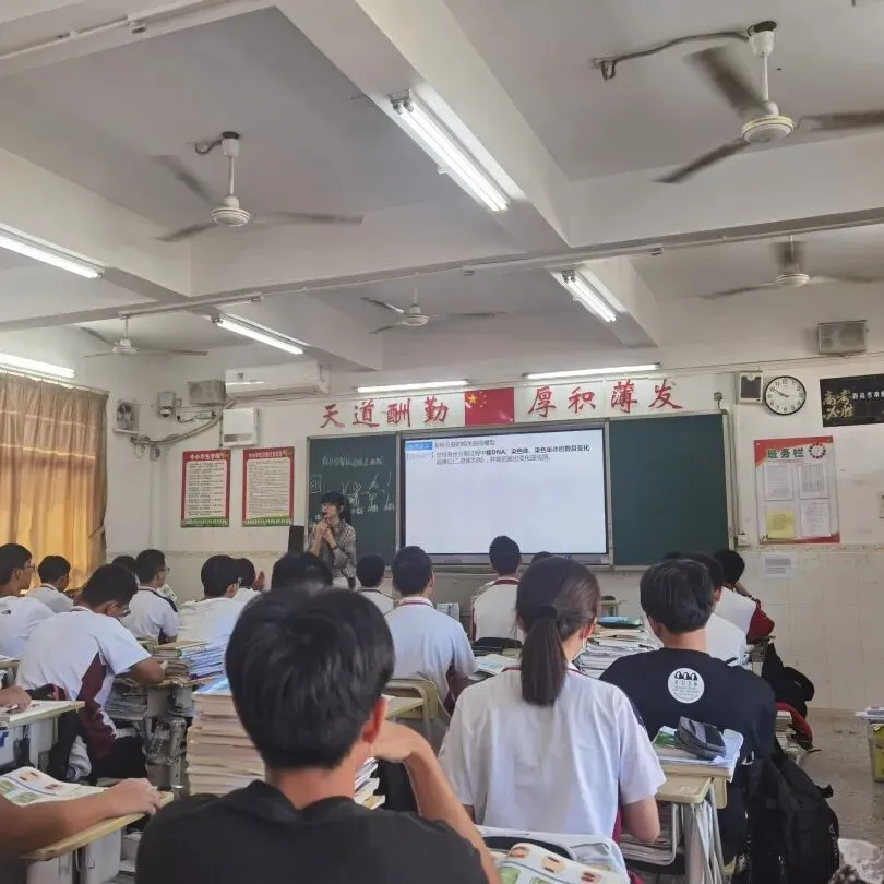 学生分组讨论,分析细胞分化相关资料