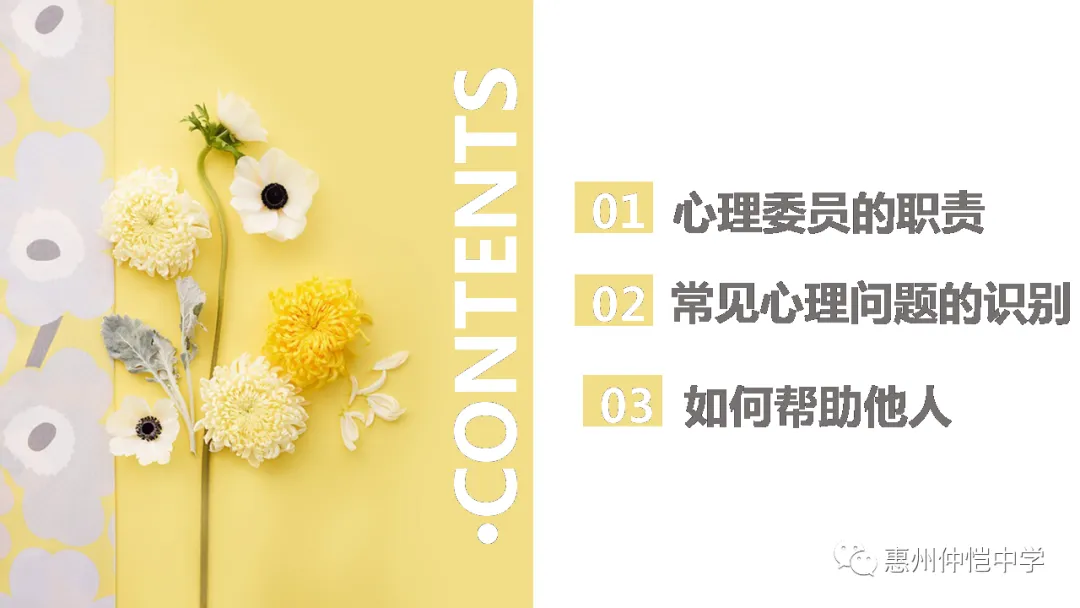 培训现场的互动交流场景