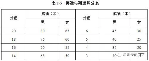 掷远与踢远评分标准