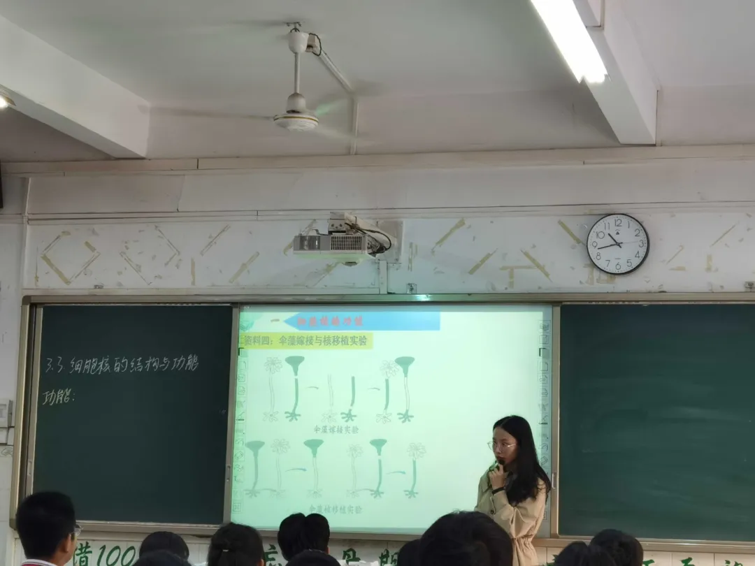 学生们通过角色扮演加深对分泌蛋白合成过程的理解