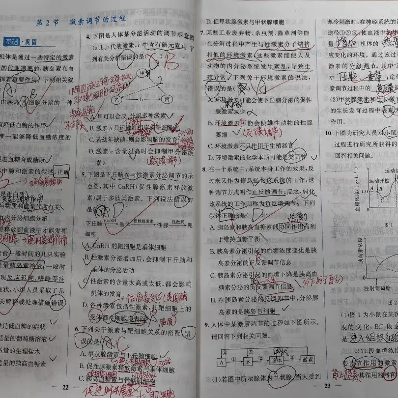优秀作业示例九