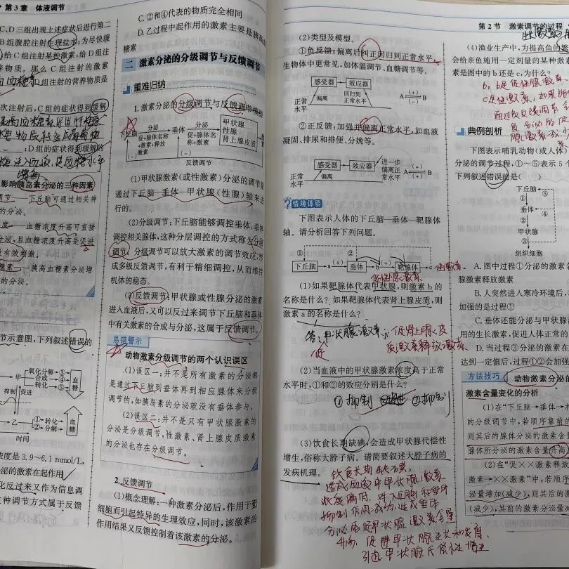 优秀作业示例十