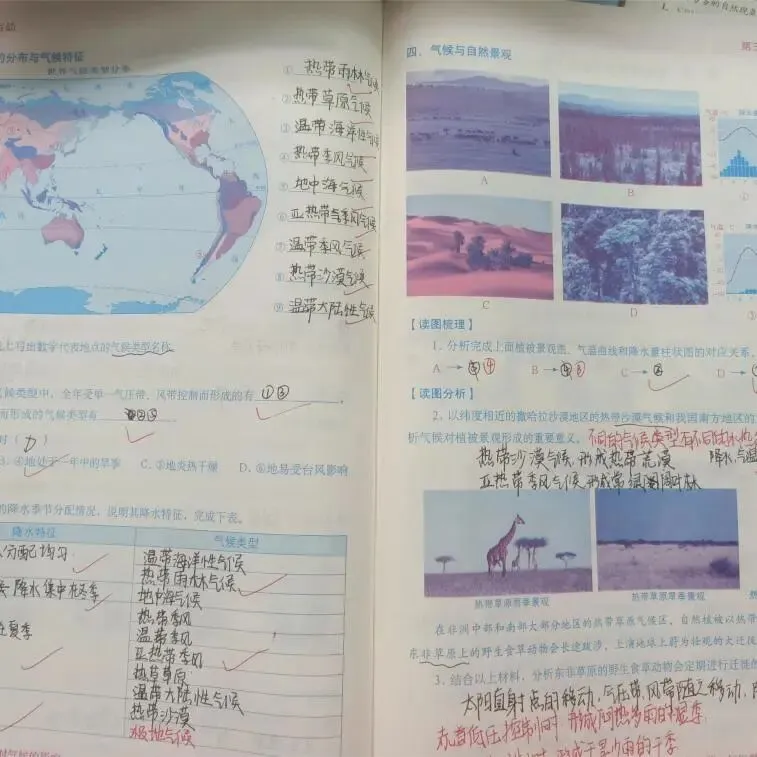 优秀作业示例十三