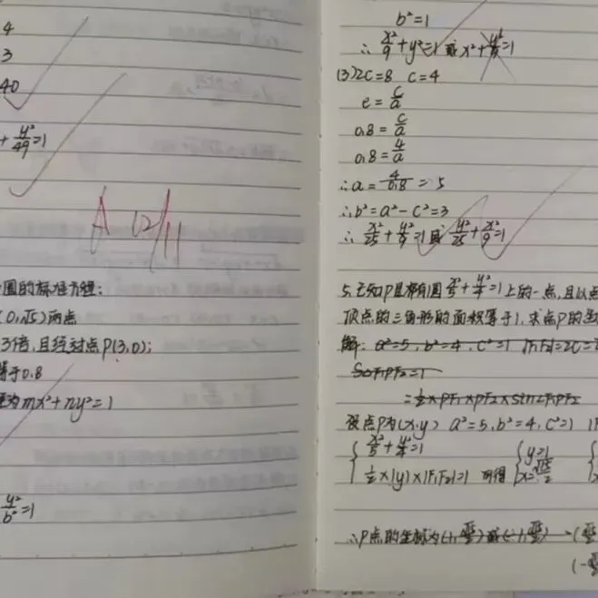 优秀作业示例二