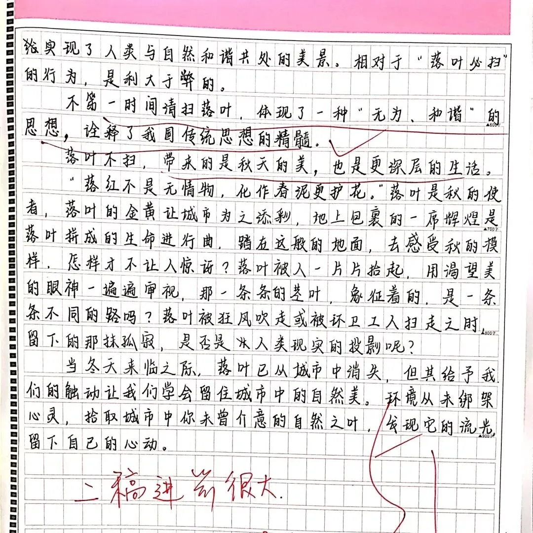 优秀作业示例五