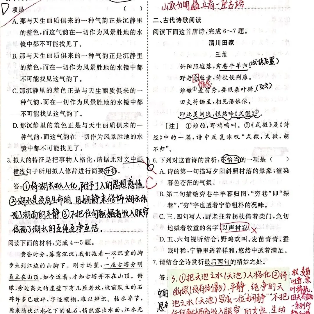 优秀作业示例六