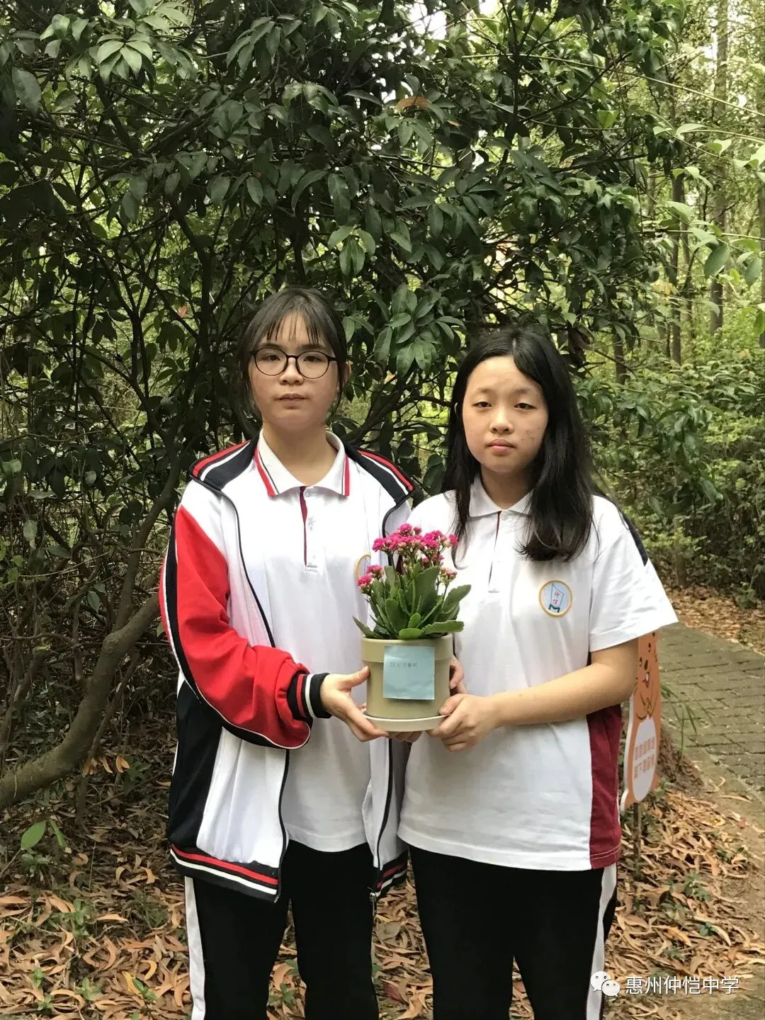 学生们认真地利用落叶和树枝进行手工创作