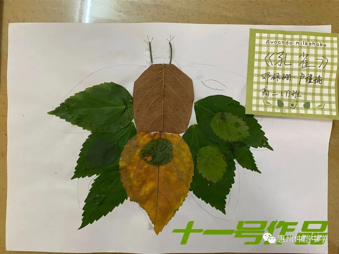 学生们在绿色氧吧区域愉快地交流分享