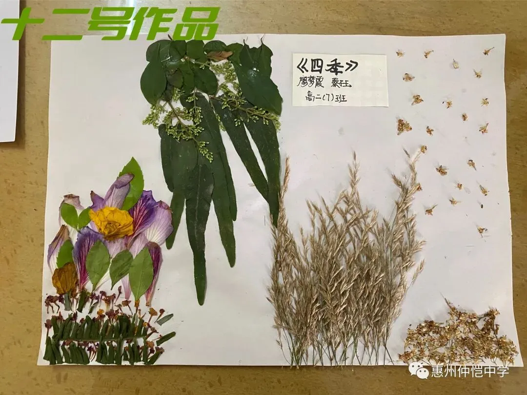 学生们展示他们充满创意的落叶手工品