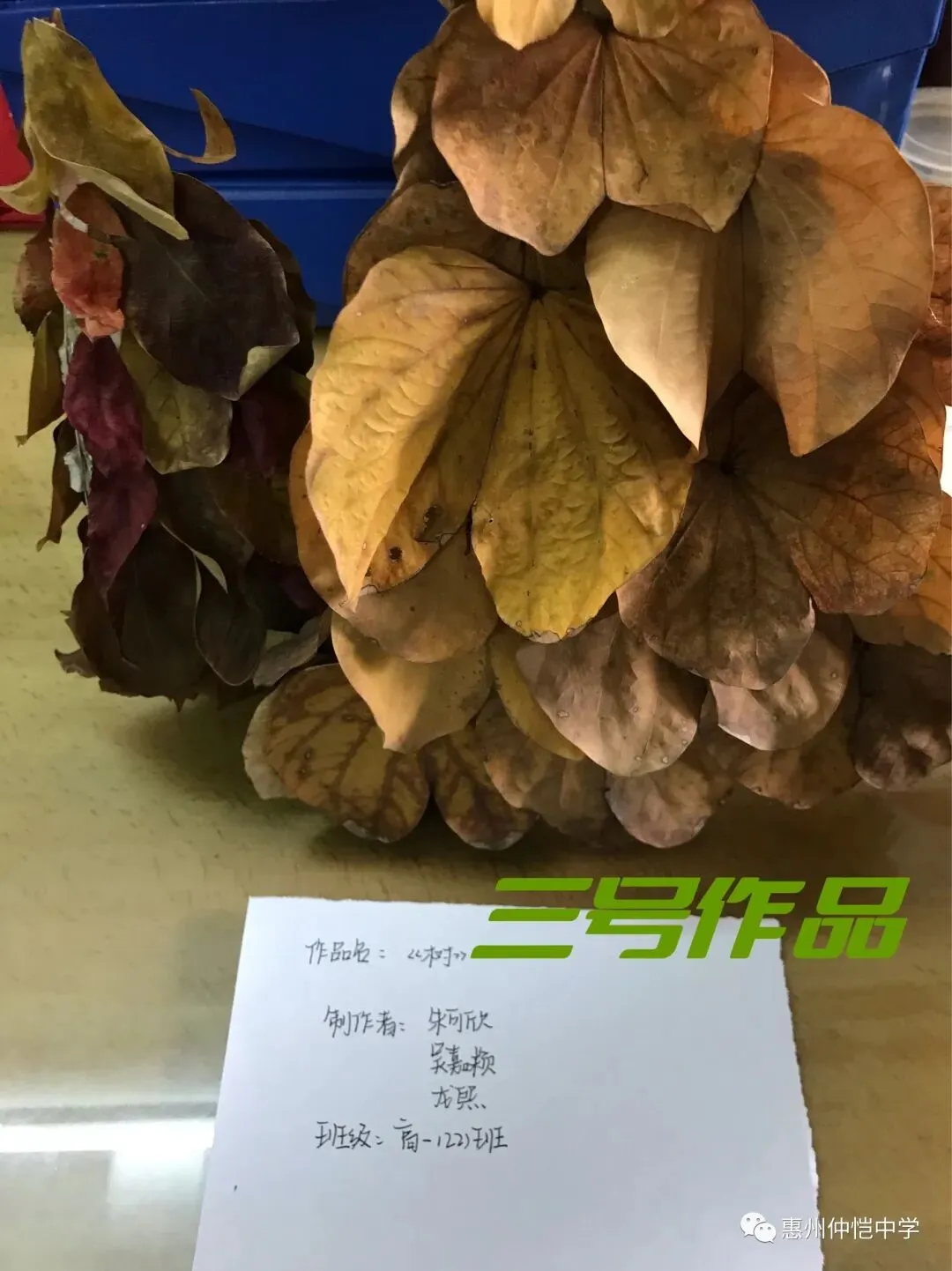 学生们在绿植旁合影留念,享受绿色带来的美好