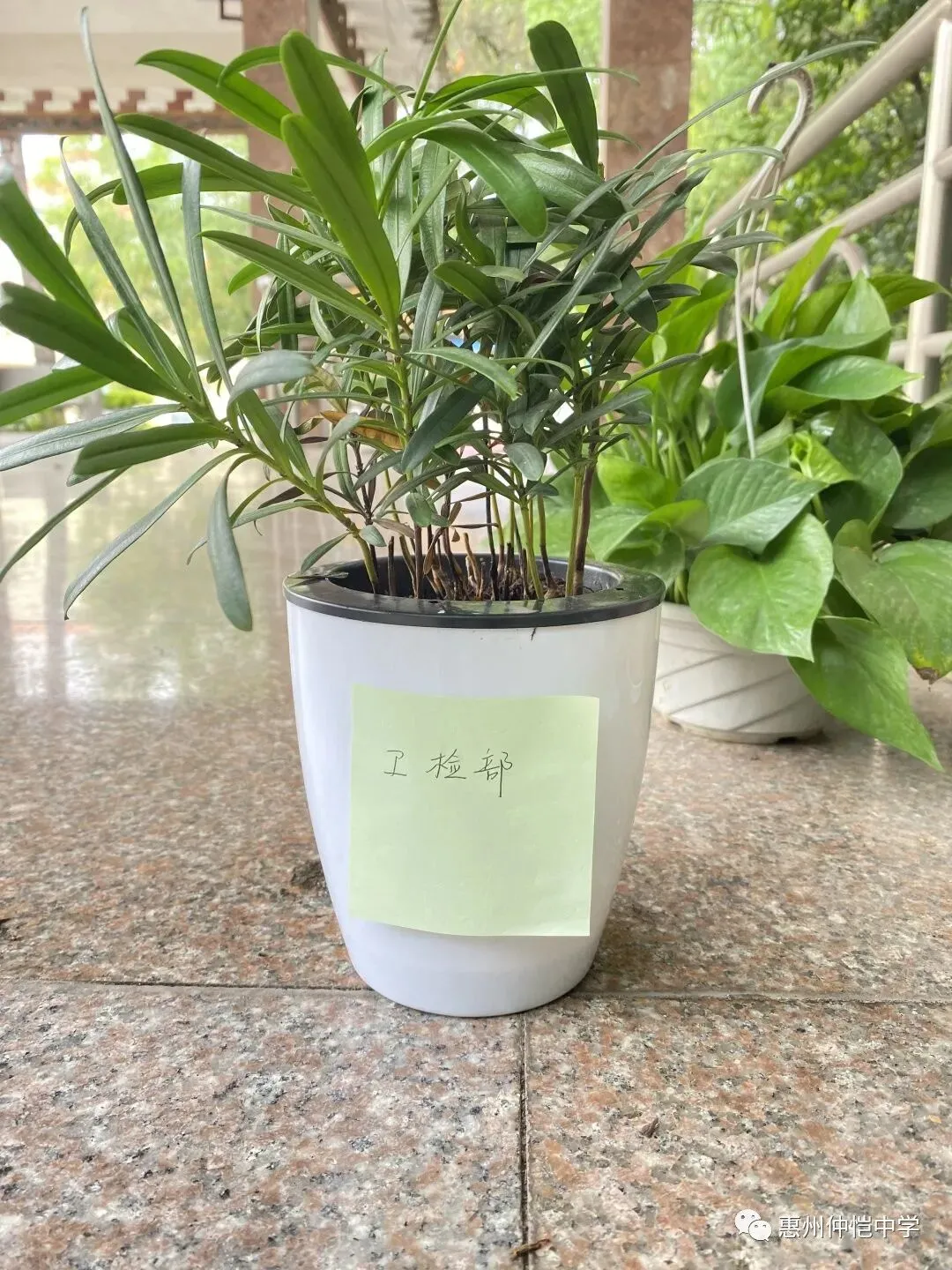 学生们将制作好的手工艺品摆放在一起,形成了一道亮丽的风景线